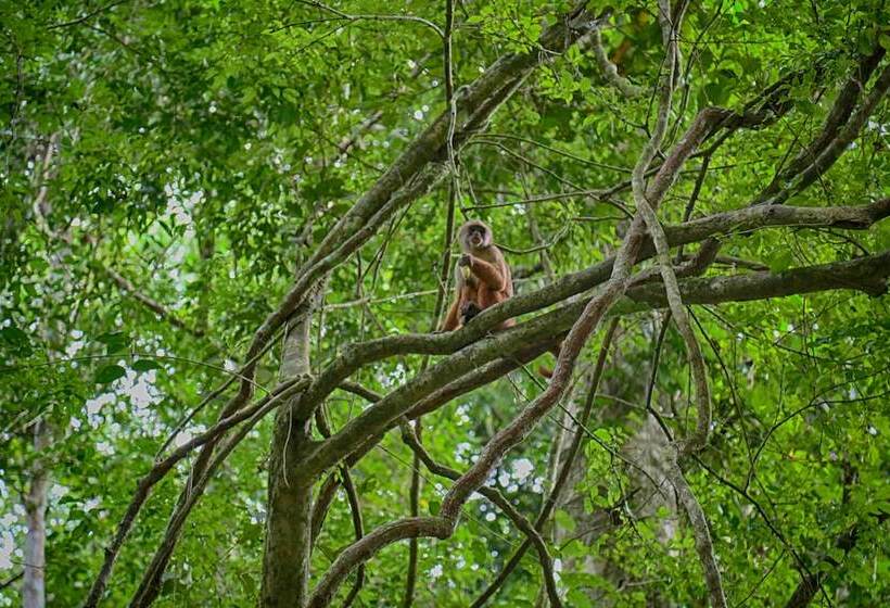 هتل Ecoamazonia Lodge