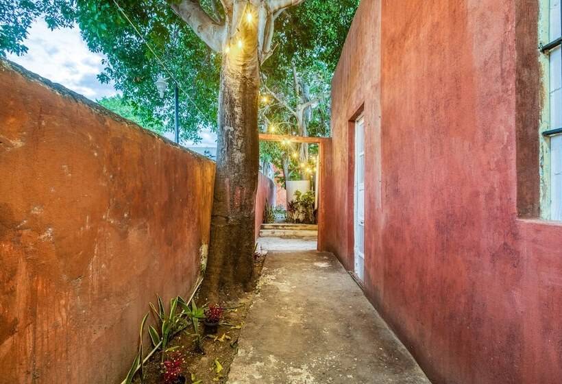 בית מלון כפרי La Casa Del Kéej Hostel