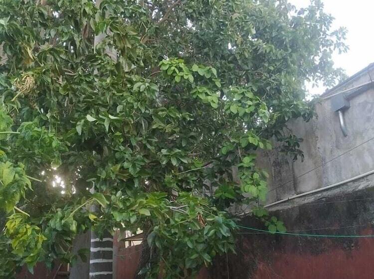 בית מלון כפרי La Casa Del Kéej Hostel