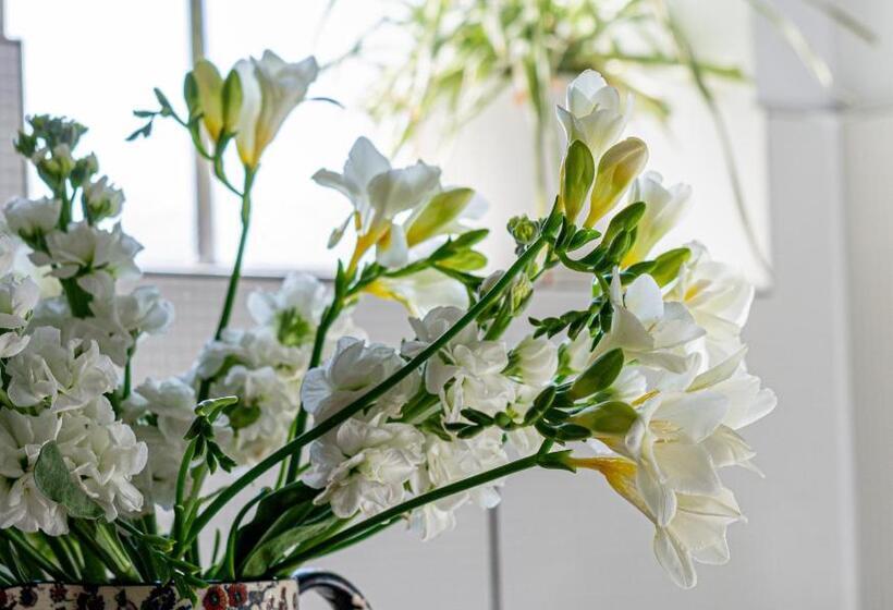 Mayflower Hotel Malta