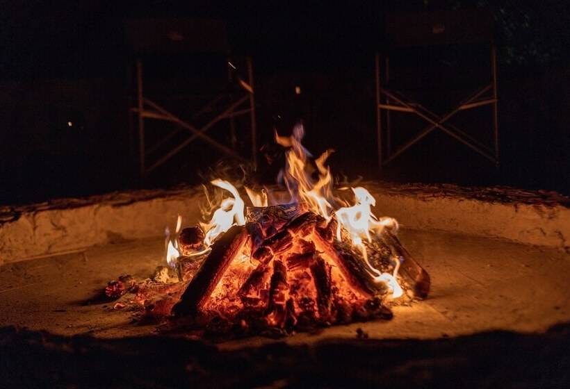 ホテル Rockfig Lodge Madikwe