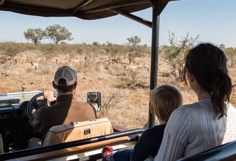 ホテル Rockfig Lodge Madikwe