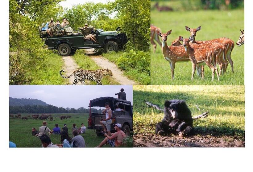 בית מלון כפרי The Senaro Holiday Inn