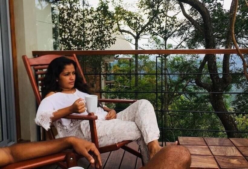 酒店 Treehouse Chalets