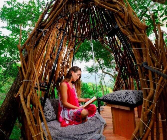 酒店 Treehouse Chalets