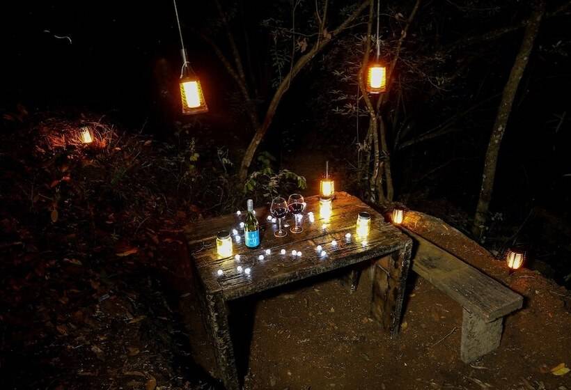 酒店 Treehouse Chalets