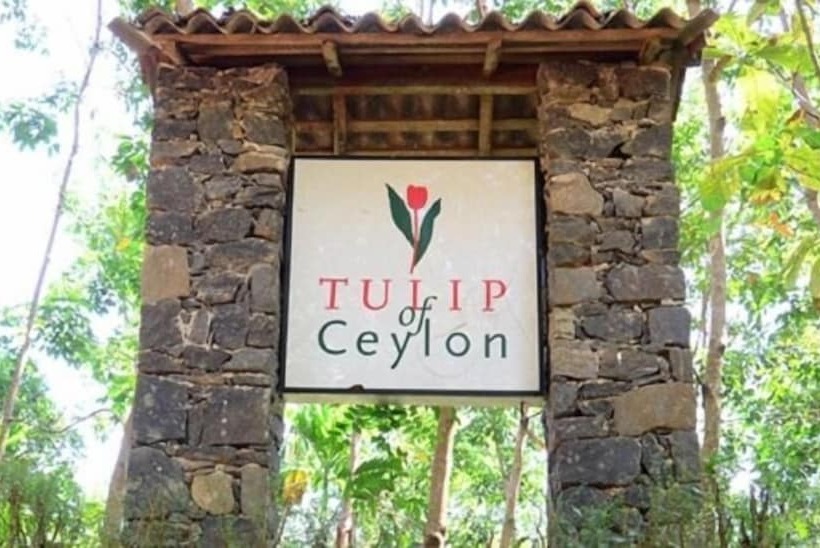 فندق Tulip Of Ceylon