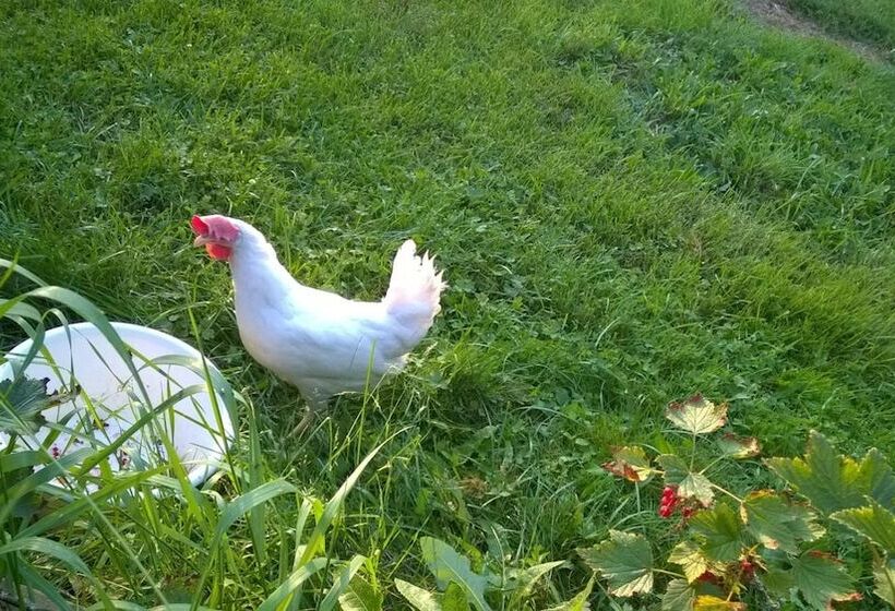 Majatalo Myötätuuli