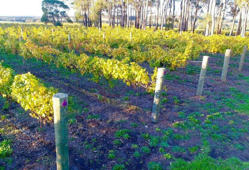 Margaret River Beach Apartments