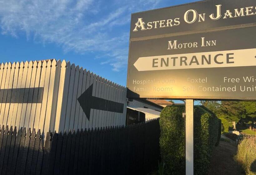 Мотель Asters On James Motor Inn