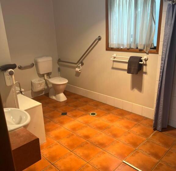 Мотель Asters On James Motor Inn