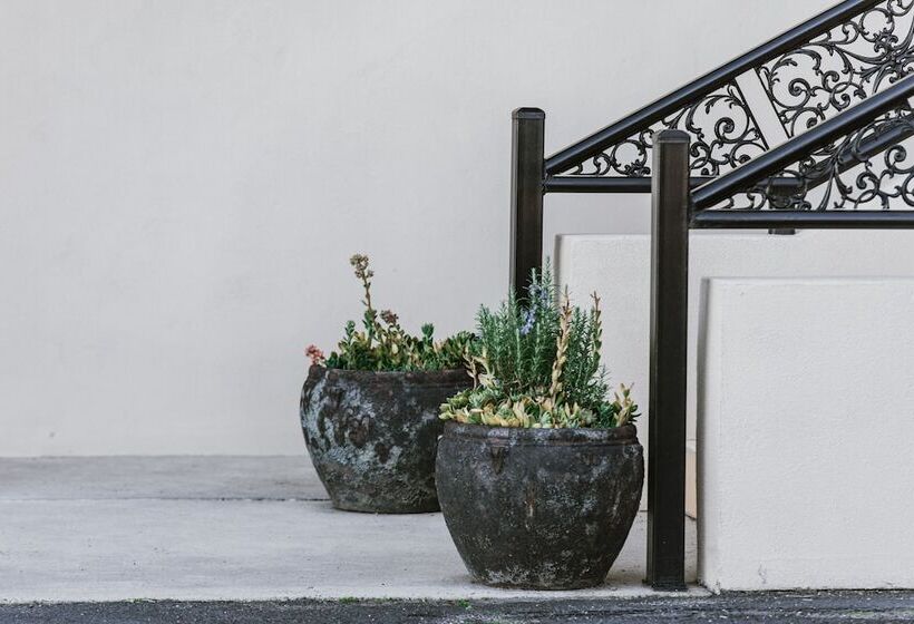 מוטל Inverell Terrace Motor Lodge