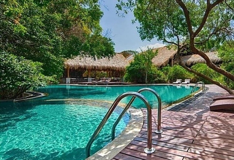 Пансион Aurelia Negombo