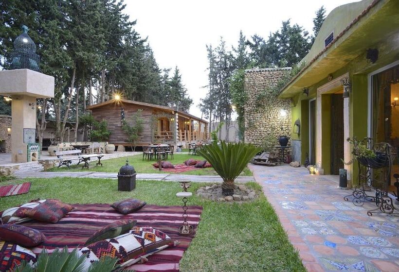 پانسیون Carthage Hill