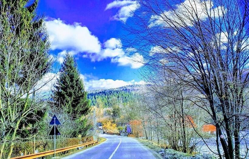 Пансион Casa Octavian