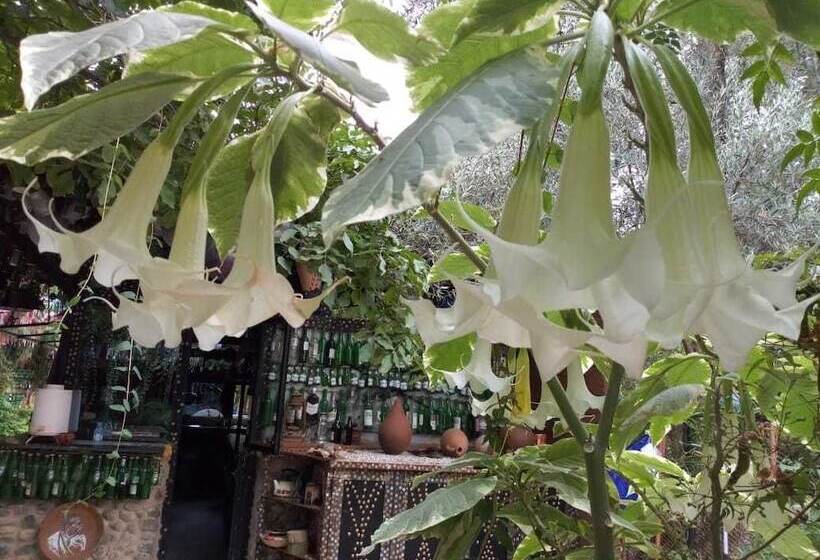 پانسیون Maison D'hotes Ait Bou Izryane