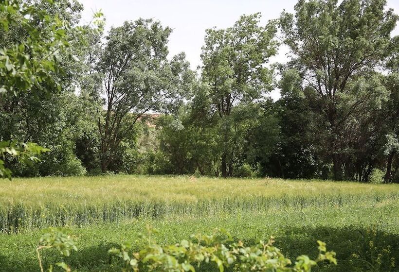 پانسیون Maison D'hôte Tizwiyate Dades