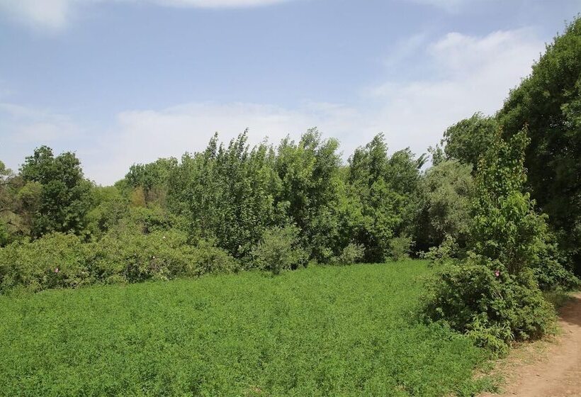 پانسیون Maison D'hôte Tizwiyate Dades