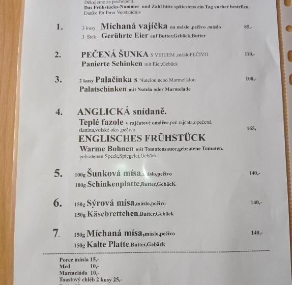 פנסיון Penzion U Modrého Slona