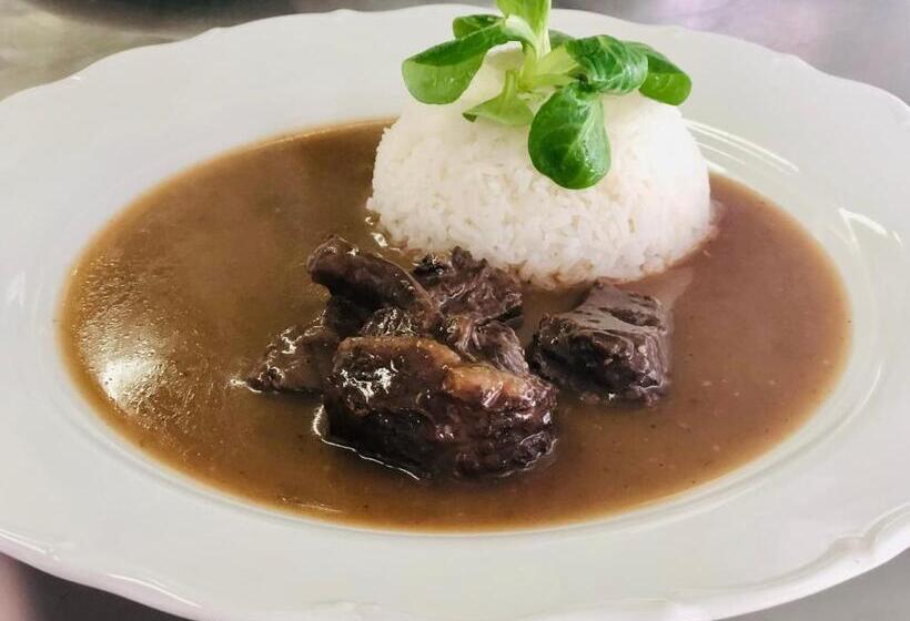 פנסיון Penzion U Modrého Slona