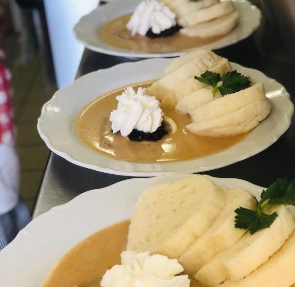 פנסיון Penzion U Modrého Slona