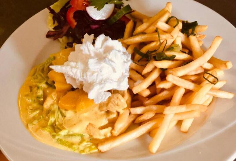 פנסיון Penzion U Modrého Slona