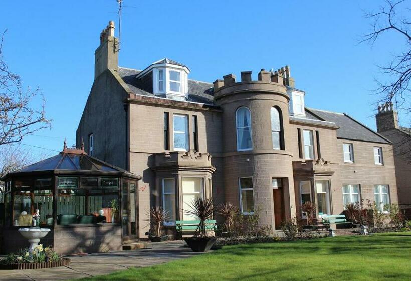 بنسيون The Limes Guest House