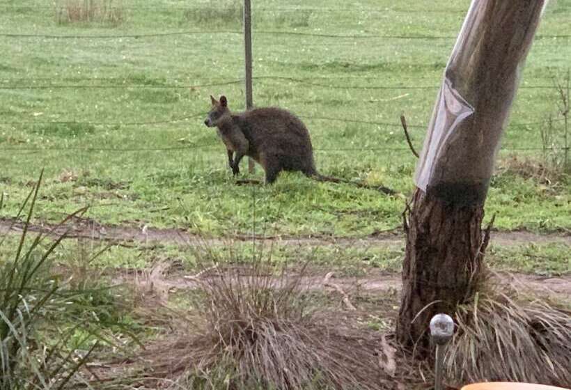 The Nature Resort Villas
