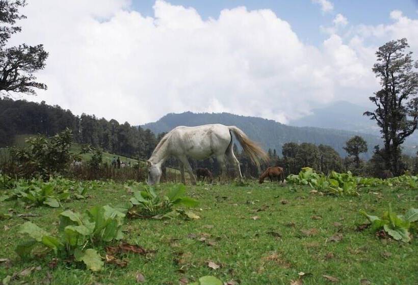 リゾートホテル Agyaat Vaas