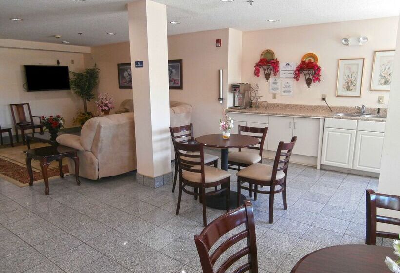 فندق Americas Best Value Inn & Suites Mcdonough