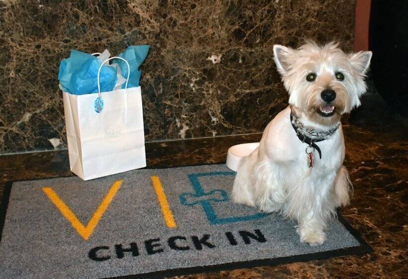 The Atlantic Hotel & Spa