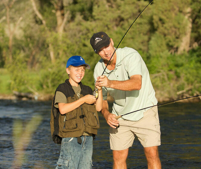 Отель Austria Haus