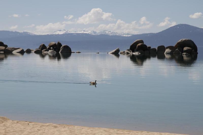 Отель Avalon Lodge South Lake Tahoe