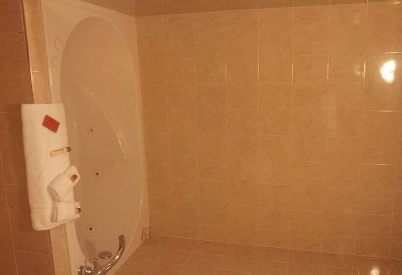 ホテル Belvedere Inn Schenectady   Albany