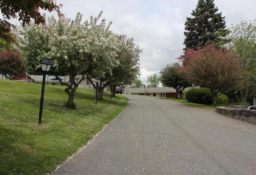 酒店 Berkshire Inn