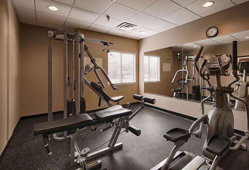 酒店 Best Western Bayou Inn And Suites