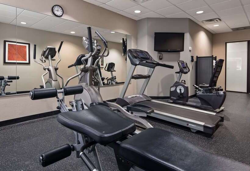 酒店 Best Western Bayou Inn And Suites