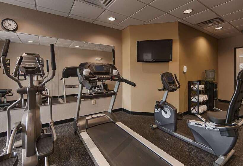 酒店 Best Western Bayou Inn And Suites