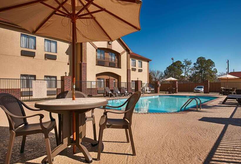 酒店 Best Western Bayou Inn And Suites