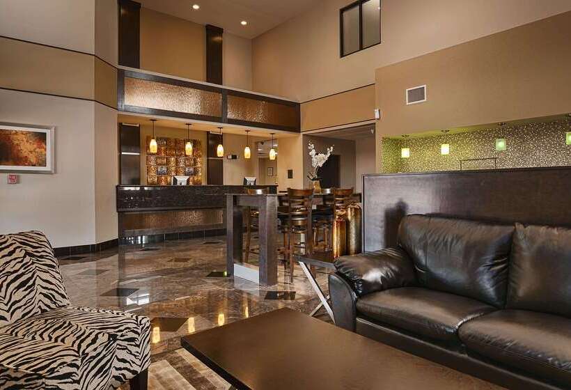 酒店 Best Western Bayou Inn And Suites