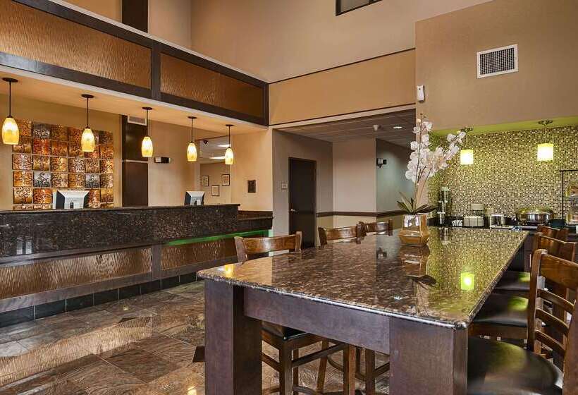 酒店 Best Western Bayou Inn And Suites