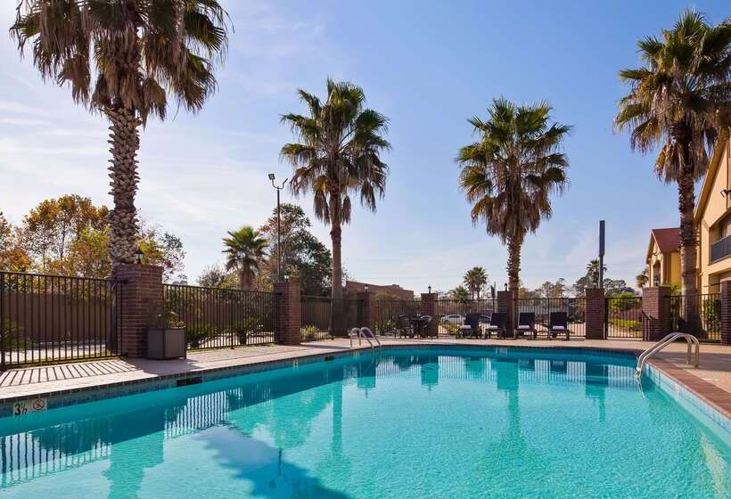 酒店 Best Western Bayou Inn And Suites