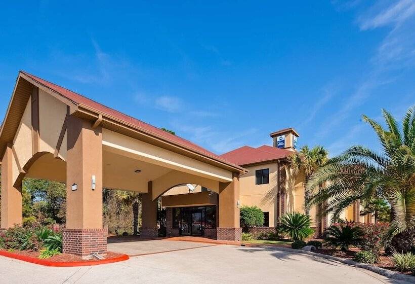 酒店 Best Western Bayou Inn And Suites