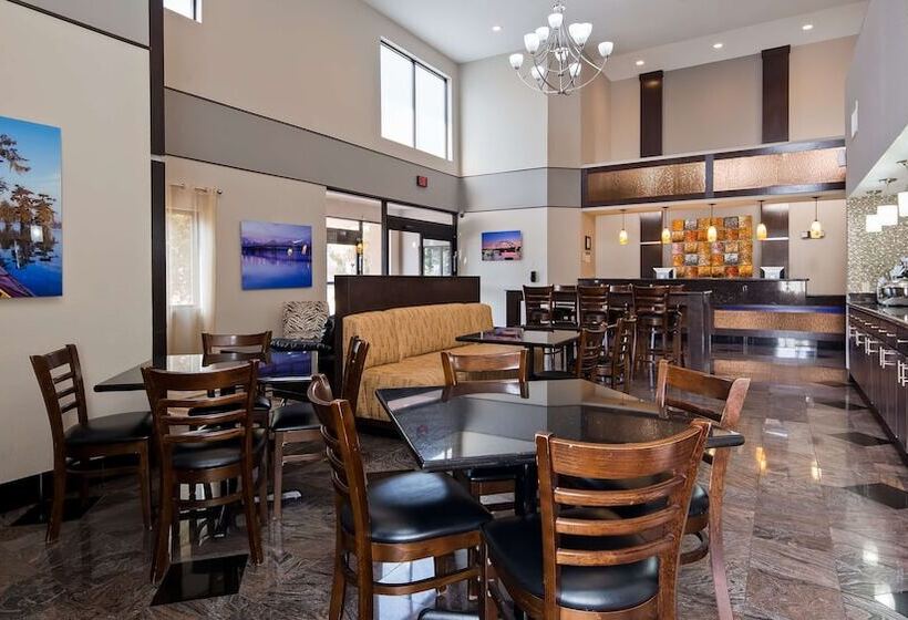酒店 Best Western Bayou Inn And Suites