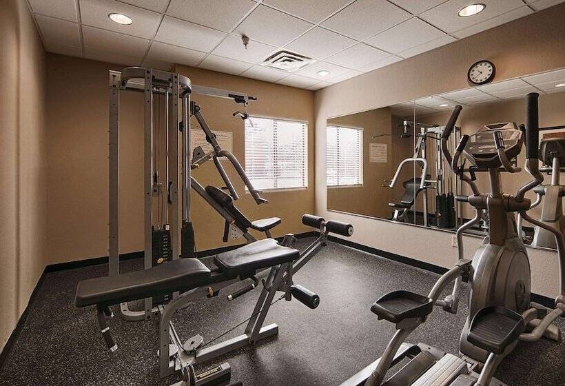 酒店 Best Western Bayou Inn And Suites