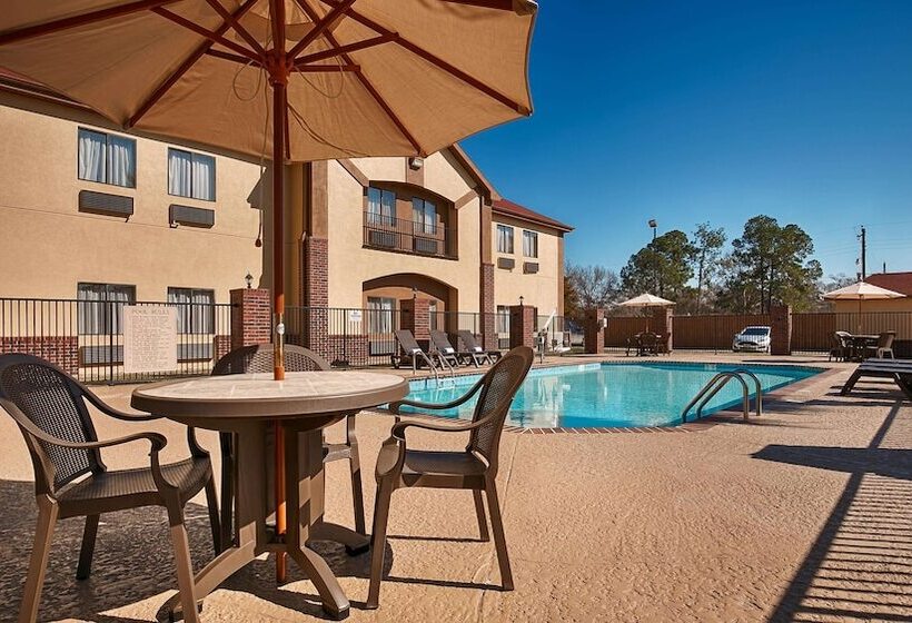 酒店 Best Western Bayou Inn And Suites