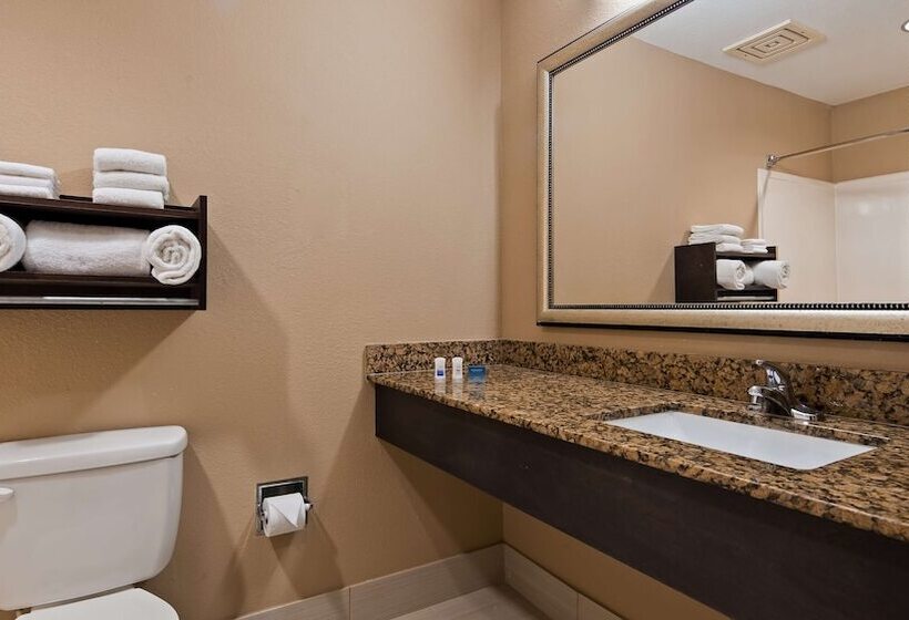 酒店 Best Western Bayou Inn And Suites