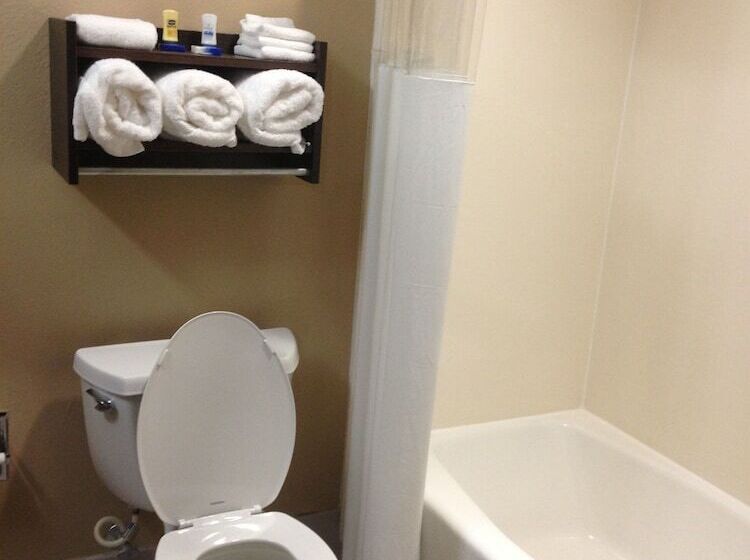 酒店 Best Western Bayou Inn And Suites