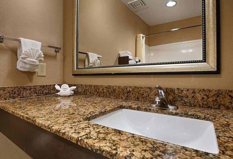 酒店 Best Western Bayou Inn And Suites