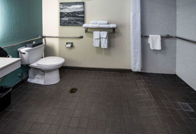 בית מלון כפרי City Express by Marriott Duluth